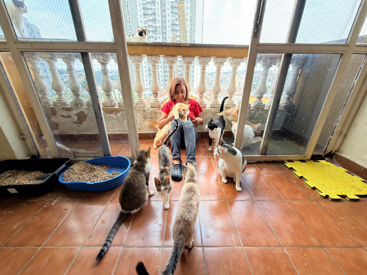 Tia Fátima na varanda com gatos resgatados